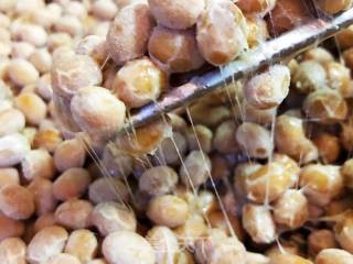 自制纳豆的做法步骤：10
