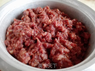 蜜汁猪肉脯的做法步骤：2