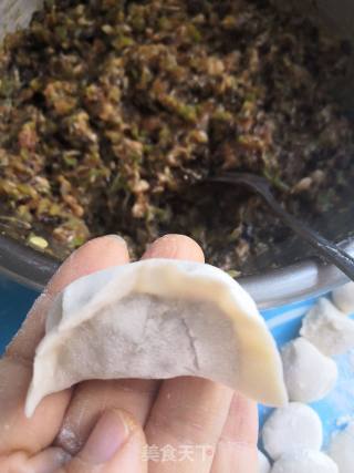豆角木耳猪肉饺子的做法步骤：13