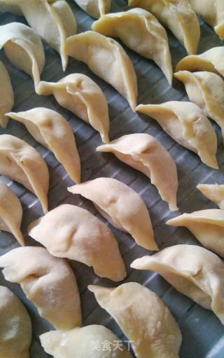 韭菜鸡蛋虾皮饺子的做法步骤：9