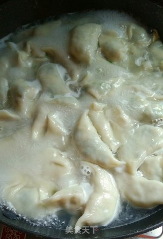 韭菜鸡蛋虾皮饺子的做法步骤：10