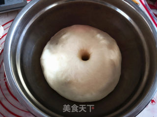肉松小餐包的做法步骤：2