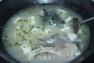 豆腐鱼头汤的做法步骤：7