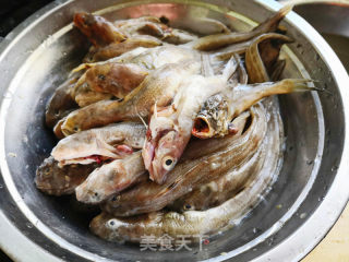 胖头鱼烩饼子的做法步骤：9