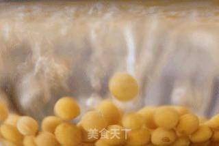 新西兰花胶黄豆冬瓜排骨汤的做法步骤：2