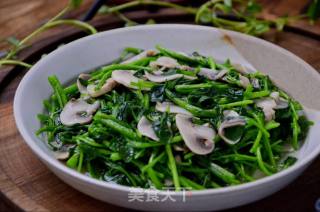 口蘑西洋菜的做法步骤：8