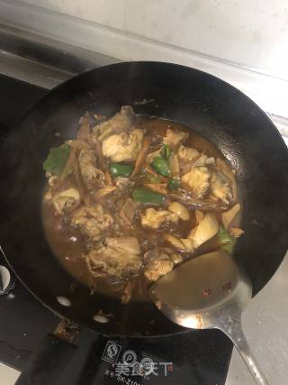 啤酒烧鸡块的做法步骤：9