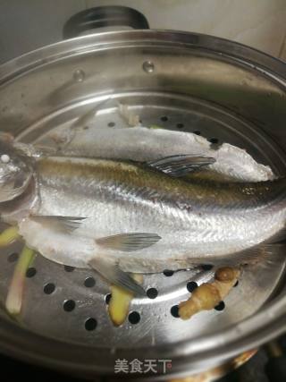 清蒸翘嘴鱼的做法步骤：3