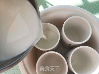 自制酸奶的做法步骤：4