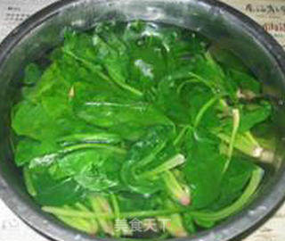 丁香鱼拌菠菜的做法步骤：4
