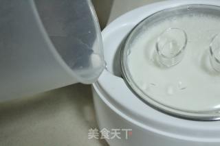 自制酸奶的做法步骤：7