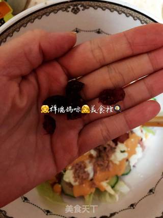腊月二十三小年 花团锦簇之金枪鱼杂菜沙拉的做法步骤：7