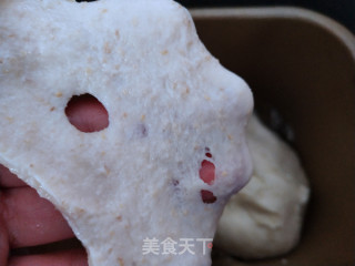 全麦牛奶面包的做法步骤：4