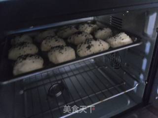 蓬松饼干的做法步骤：9