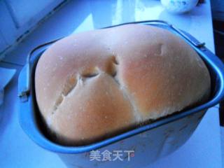 巧克力面包的做法步骤：16