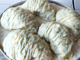 小茴香菜莽的做法步骤：12