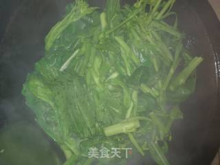 五花肉炒菜心的做法步骤：4