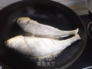 红烧黄花鱼的做法步骤：2