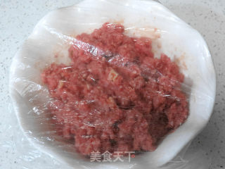香气四溢令人垂涎的【牛肉千层饼】的做法步骤：4
