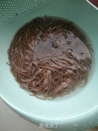 荞麦炒面的做法步骤：3