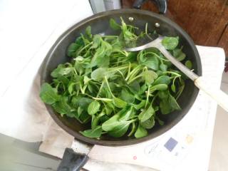 蒜香小油菜的做法步骤：5