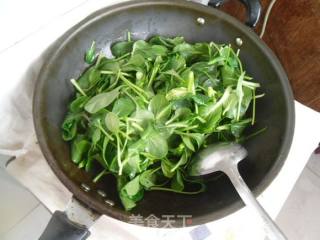 蒜香小油菜的做法步骤：6