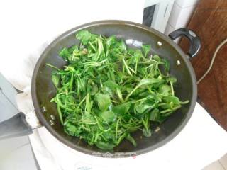 蒜香小油菜的做法步骤：8