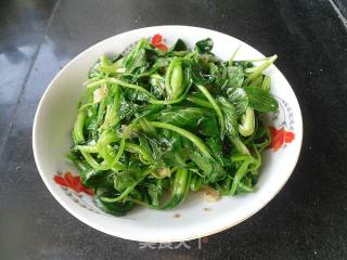 蒜香小油菜的做法步骤：10