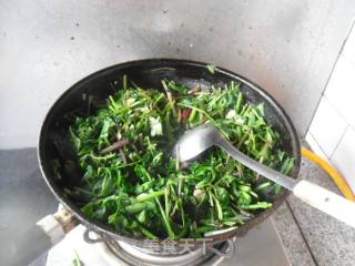 蒜香野芹菜的做法步骤：5
