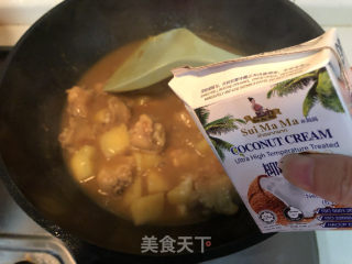 咖喱土豆炖鸡翅的做法步骤：8