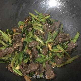 香芹炒牛肉的做法步骤：7