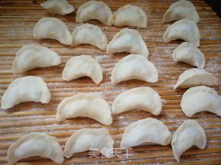 #团圆饭#胡萝卜豆干青菜素饺的做法步骤：12