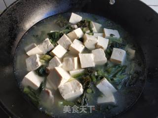 雪里蕻炖豆腐的做法步骤：8