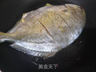 红烧鲳鱼的做法步骤：3