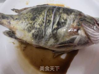 家常菜—红烧桂鱼的做法步骤：1