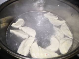 韭菜鸡蛋馅饺子的做法步骤：12