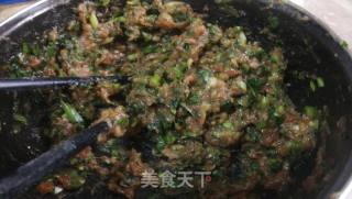 猪肉韭菜包子的做法步骤：10