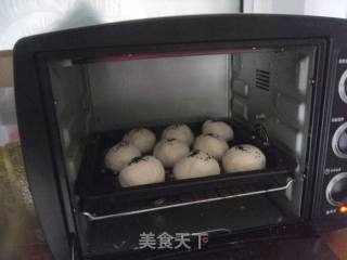 圆餐包的做法步骤：16