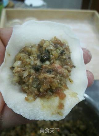 猪肉麻蛤饺子的做法步骤：15