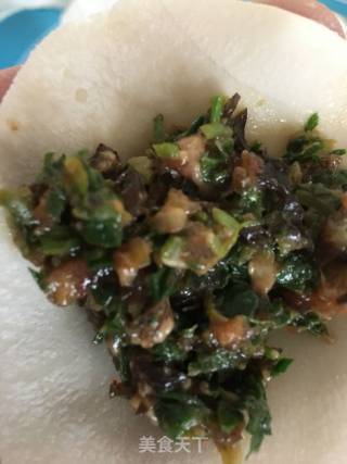 木耳香菇荠菜手工饺子的做法步骤：6