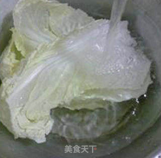 荷兰豆素炒大白菜的做法步骤：4