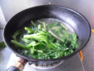 白灼菜心的做法步骤：5