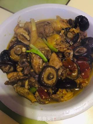 香菇烧土鸡的做法步骤：8
