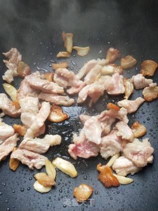 粉条木耳炒肉的做法步骤：4