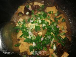 *团圆饭*焖豆腐的做法步骤：10