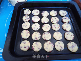 蔓越莓饼干的做法步骤：8