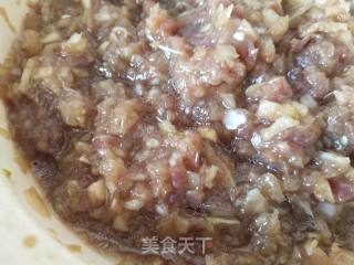 家乡美食~驴肉烧麦的做法步骤：3
