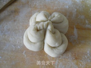 菊花面包的做法步骤：9