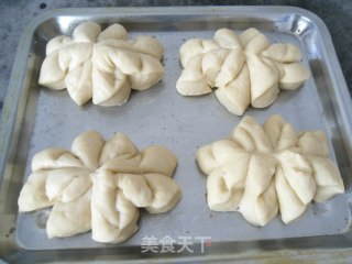 菊花面包的做法步骤：11
