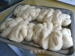 菊花面包的做法步骤：12